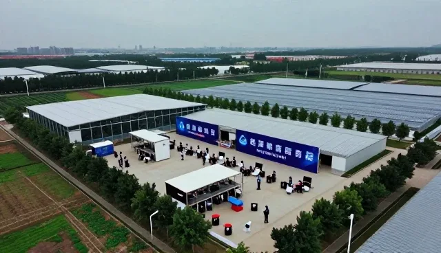 视频剪辑如何助力品牌传播的多场景应用